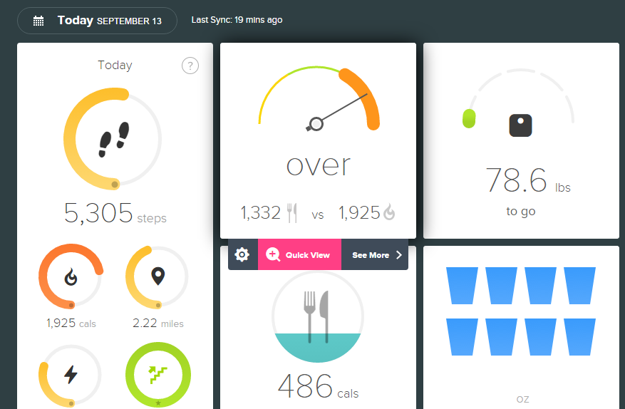 fitbit food calorie counter
